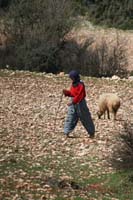 Turkey_020